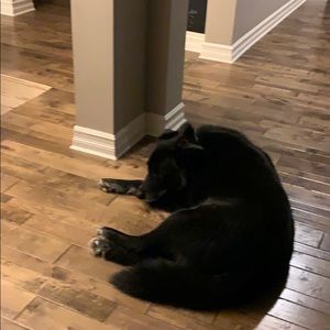 Meet your Posher, Sam